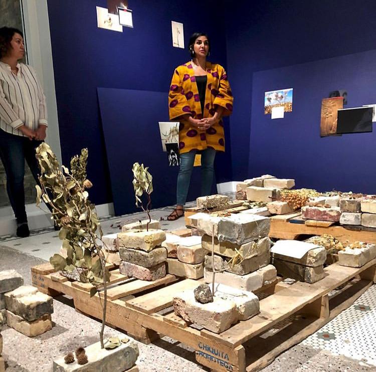 08/10/2019 - Heba Y. Amin co-curator of the group show 'History Is Not Here: Art and the Arab Imaginary' at Minnesota Museum of American Art, St Paul